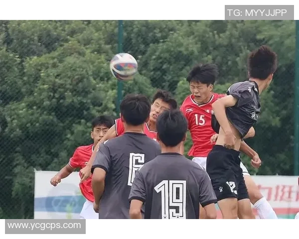 湖州足球野球球星崛起 逐梦赛场展现实力与风采